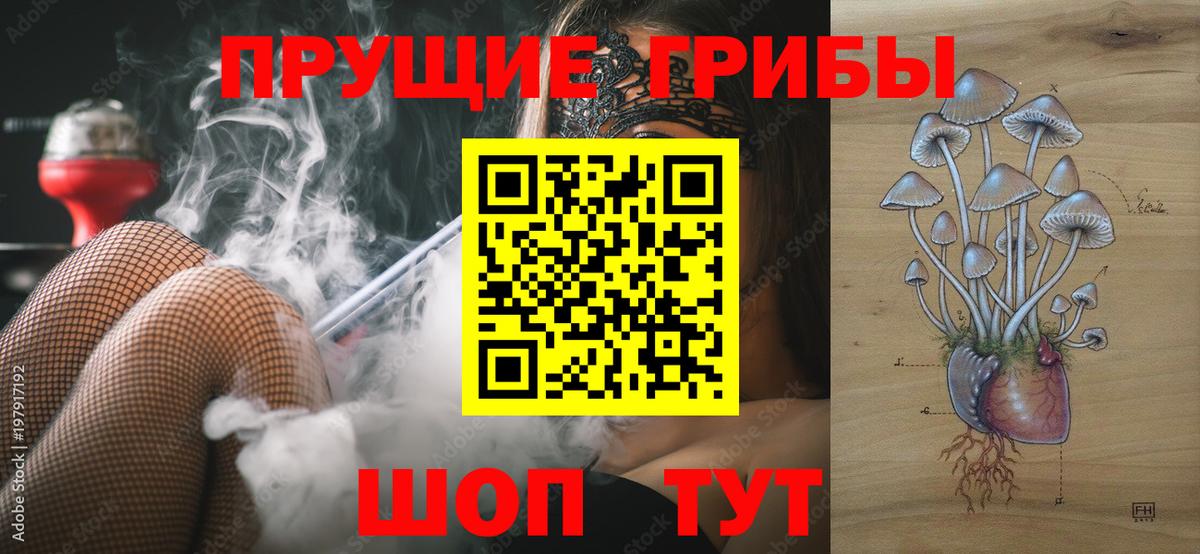 Псилоцибиновые грибы мицелий Джанкой