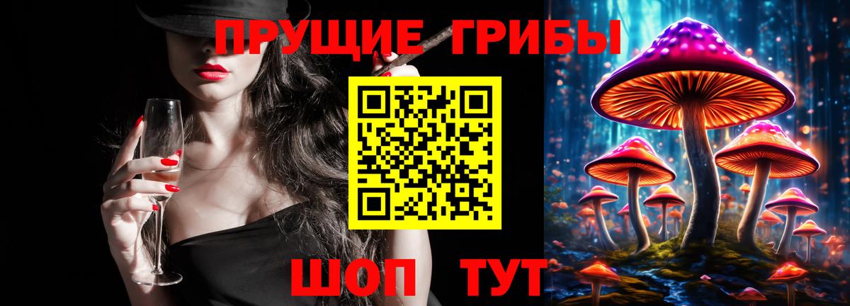 Галлюциногенные грибы Psilocybe  Вход с VPN  Джанкой 